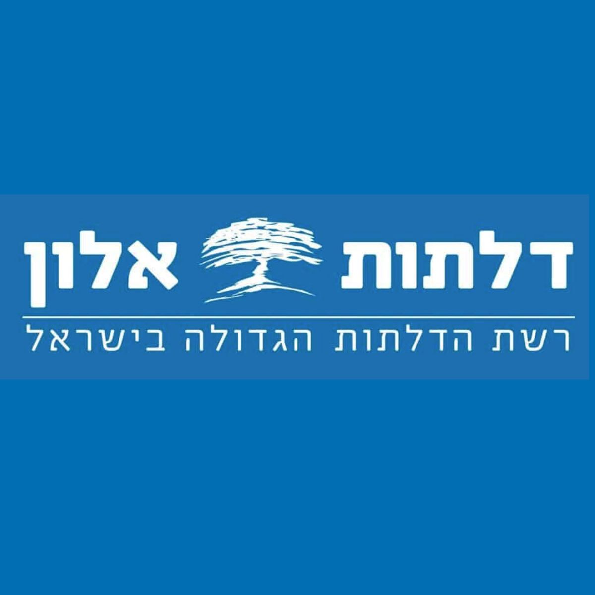 Read more about the article דלתות אלון