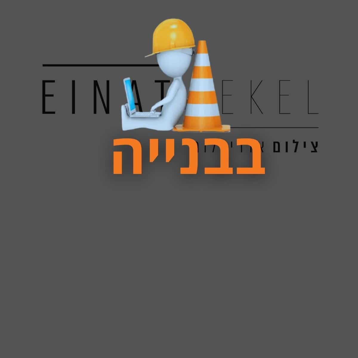 Read more about the article עינת דקל