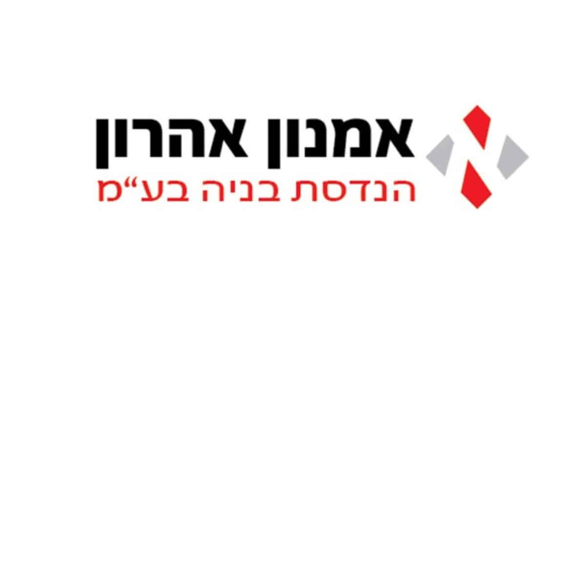 Read more about the article אמנון אהרון