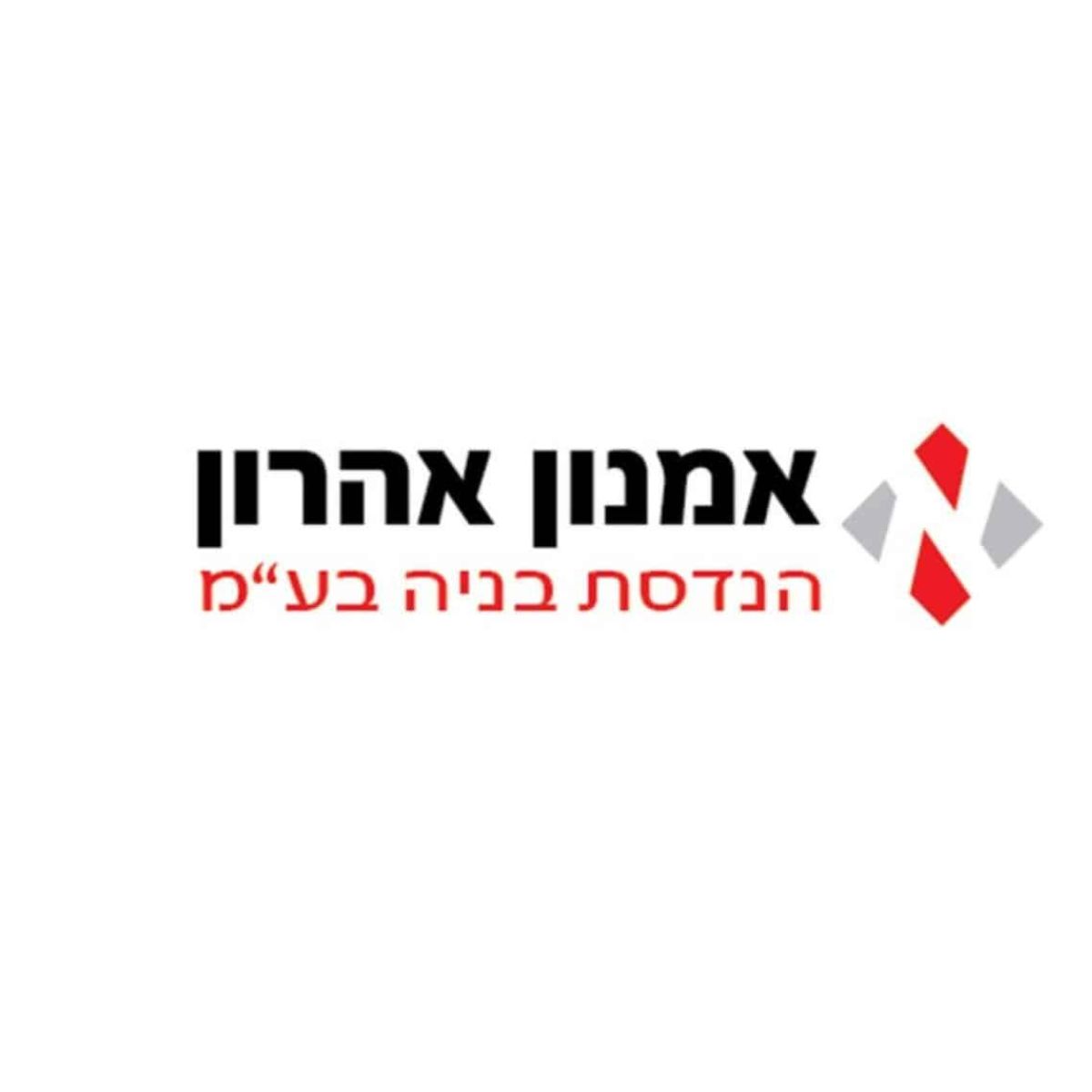Read more about the article אמנון אהרון