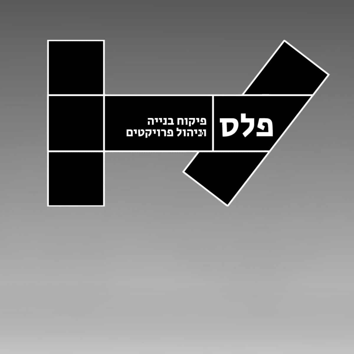 Read more about the article קבוצת פלס
