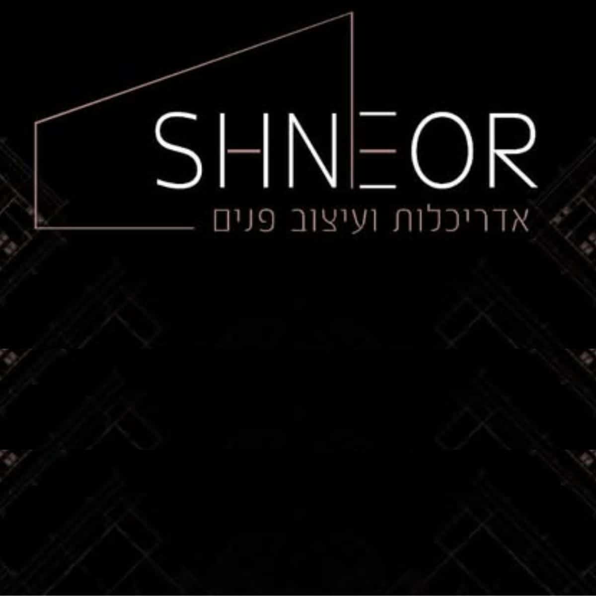 Read more about the article שניאור צייגר