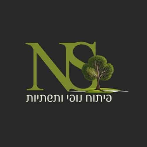 Read more about the article נתנאל שקיפי