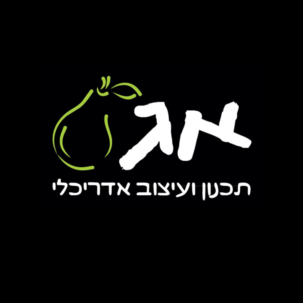 You are currently viewing אמיר גרגיר