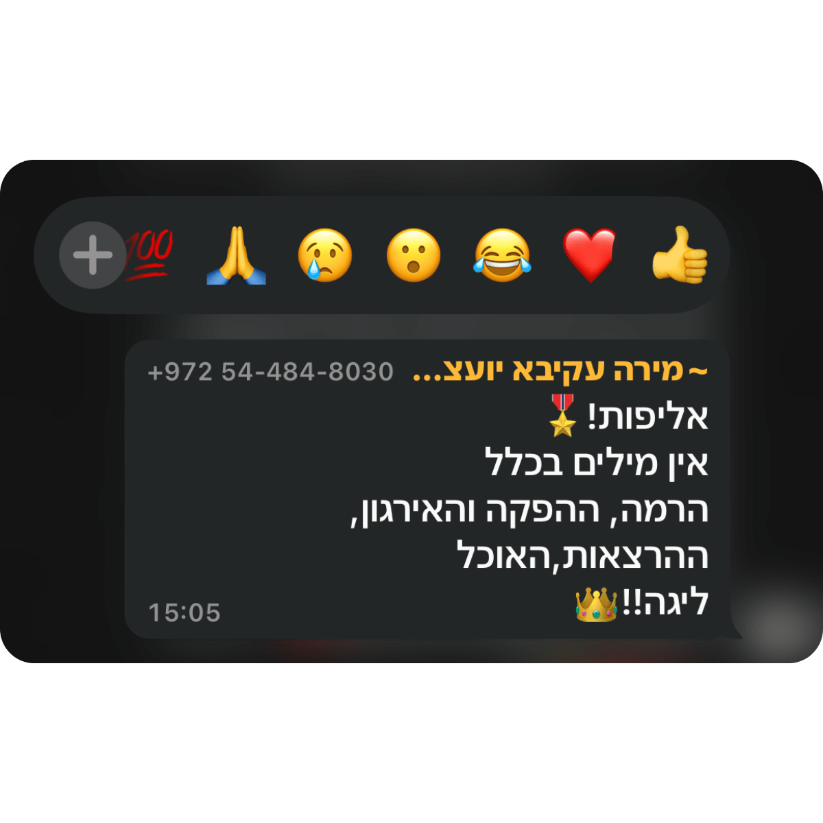 קהילת-BNF-תגובות-מאירוע-השקה-17.png