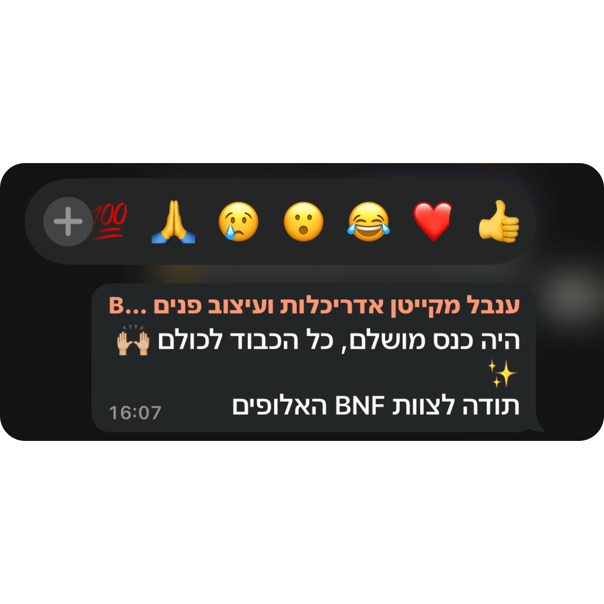 קהילת-BNF-תגובות-מאירוע-השקה-30.png