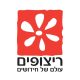 ריצופים עולם של חידושים