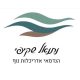 נתנאל שקיפי לוגוו