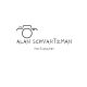 Alan schvartzman photography