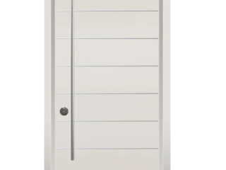 דלתות כניסה מעוצבות קהילת BNF