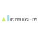 לידן ביצוע פרויקטים