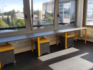 פרויקט רדיפיין מיט קהילת BNF