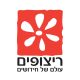 ריצופים עולם של חידושים